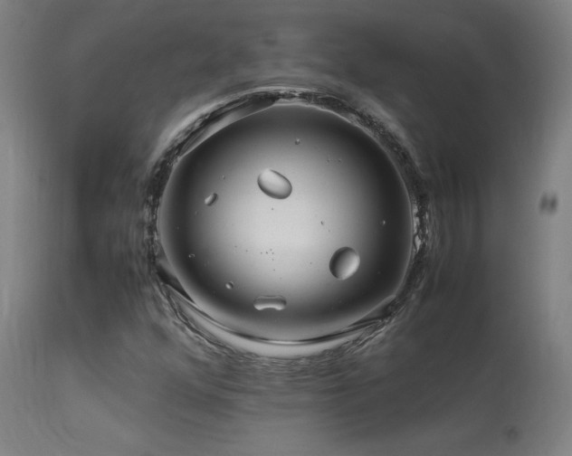 X0000113371352200909221213