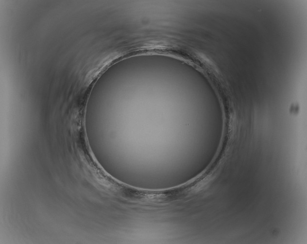 X0000113371353200909221213