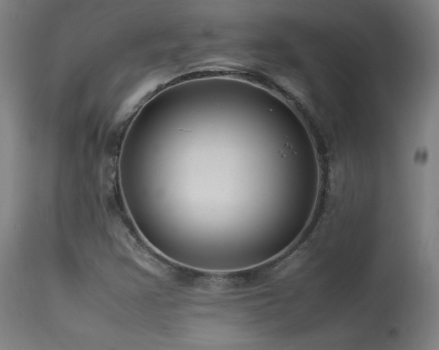 X0000113371355200909221213