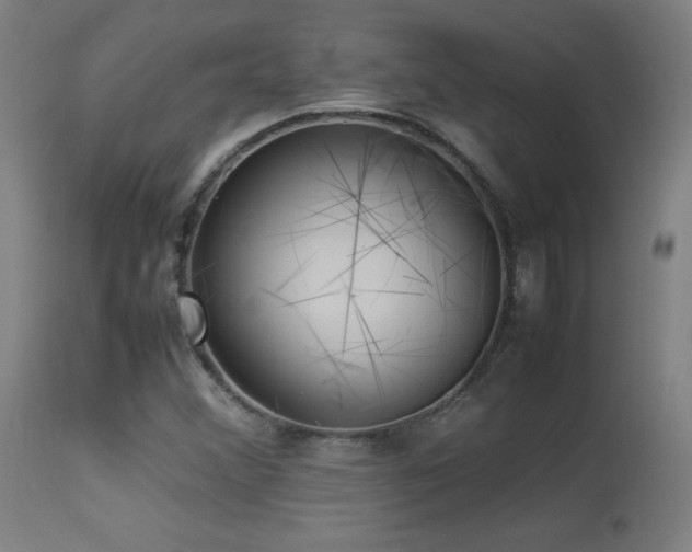 X0000113371356200909221213