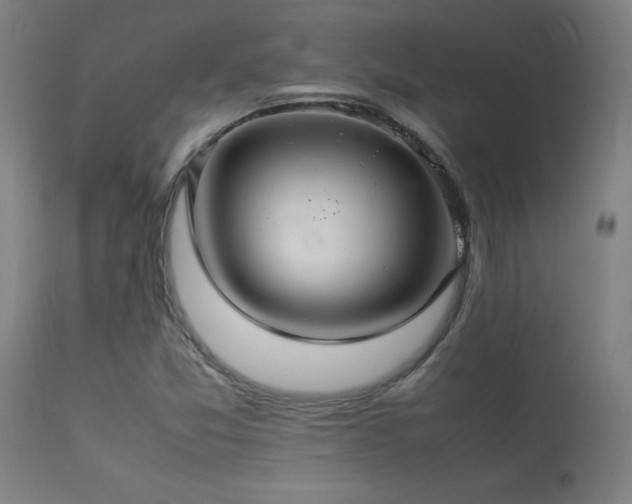 X0000113371357200909221213