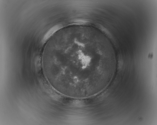 X0000113371362200909221213