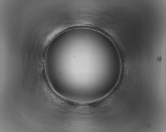 X0000113371363200909221213