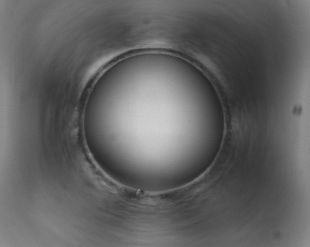 X0000113371364200909221213