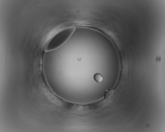 X0000113371365200909221213