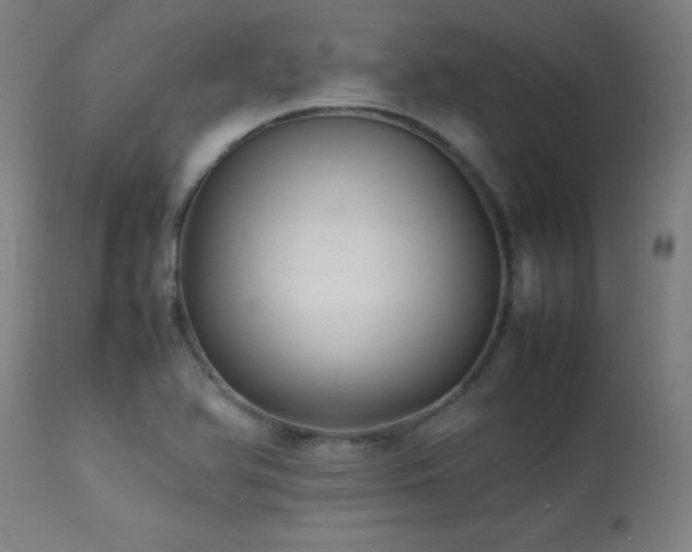 X0000113371366200909221213