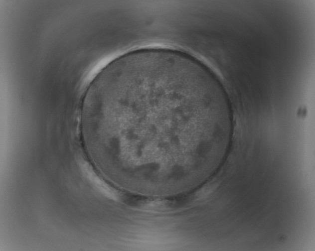 X0000113371367200909221213