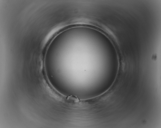 X0000113371368200909221213