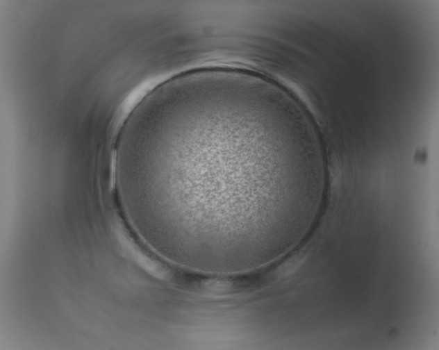 X0000113371371200909221213