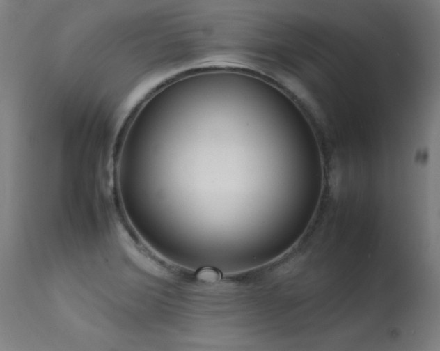 X0000113371372200909221213