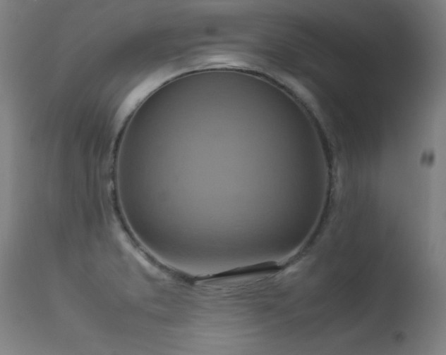 X0000113371373200909221213