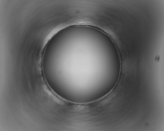 X0000113371374200909221213