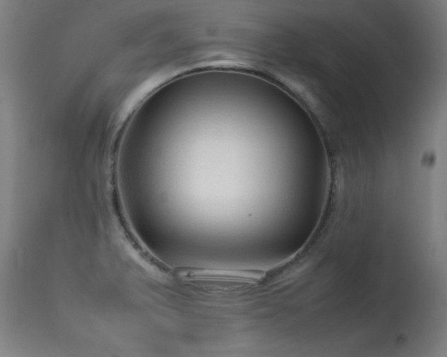 X0000113371375200909221213