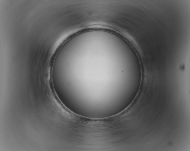 X0000113371376200909221213
