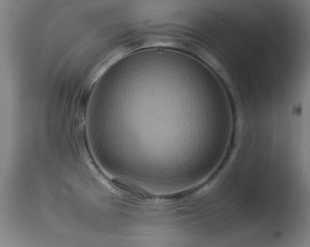 X0000113371377200909221213