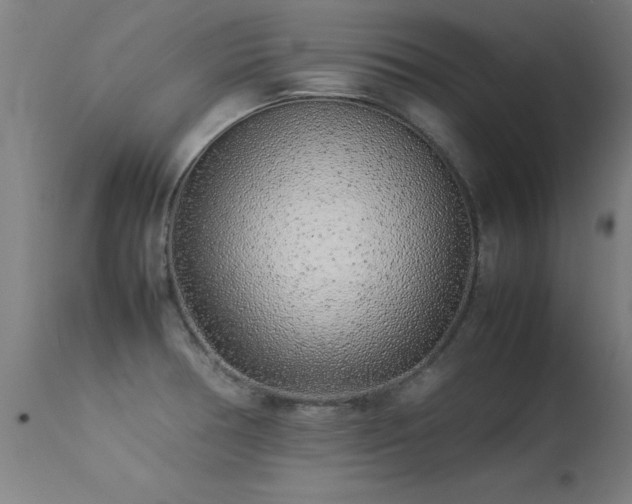 X0000113371378200909221213