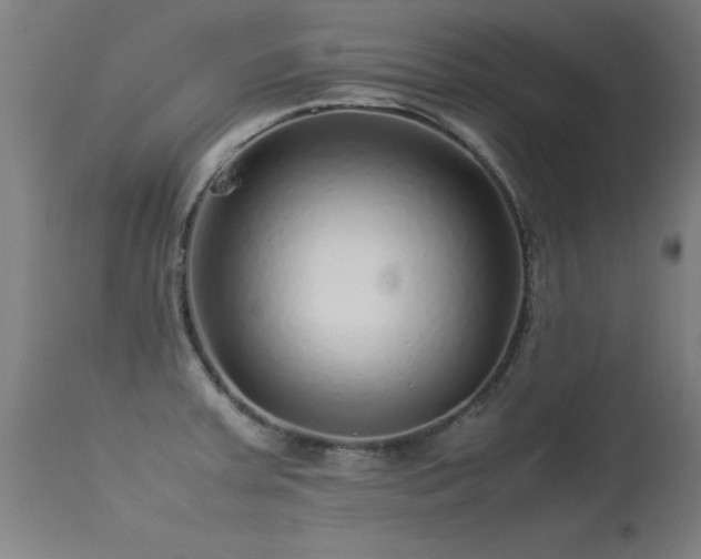 X0000113371379200909221213