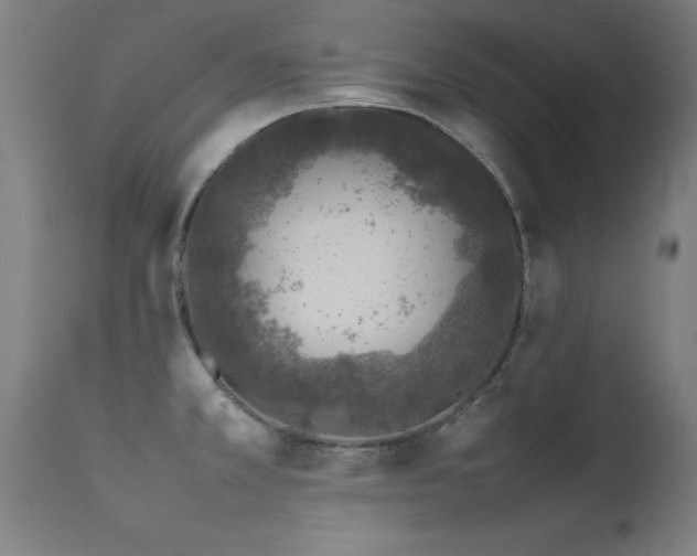 X0000113371381200909221212