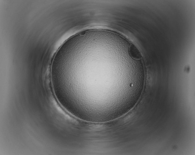 X0000113371382200909221212
