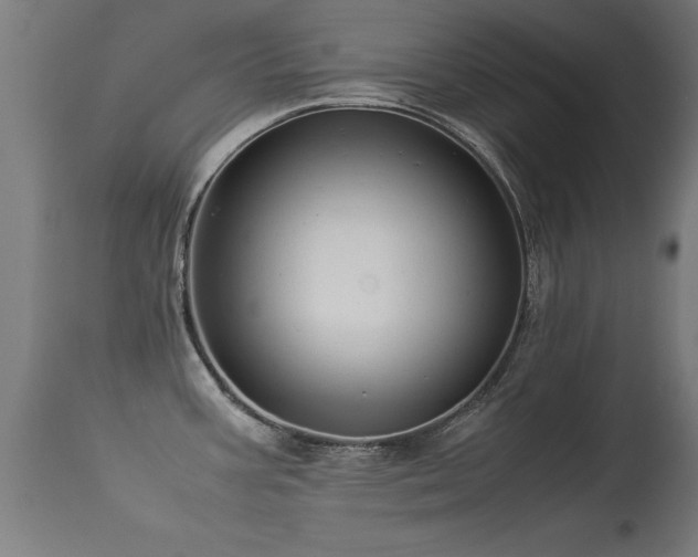 X0000113371387200909221212
