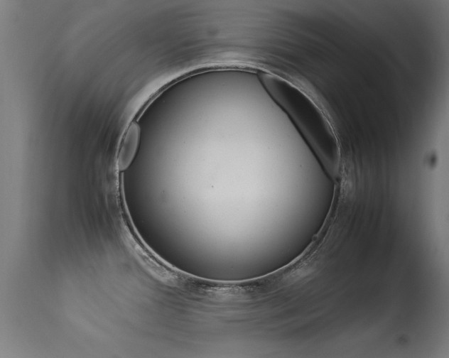 X0000113371388200909221212
