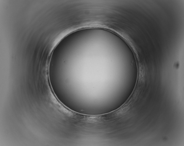 X0000113371390200909221212