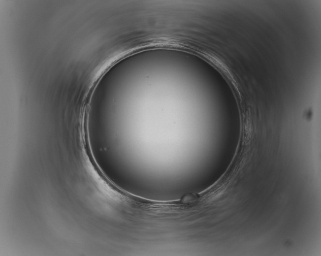 X0000113371391200909221212