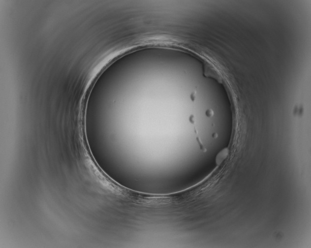 X0000113371392200909221212