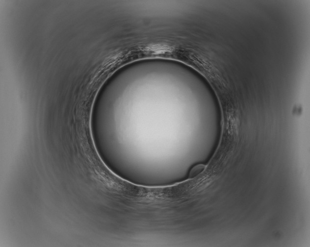 X0000113371393200909221212