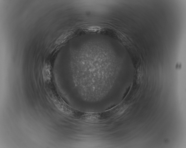X0000113371394200909221212