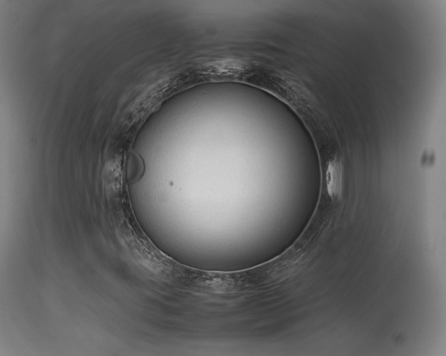 X0000113371395200909221212