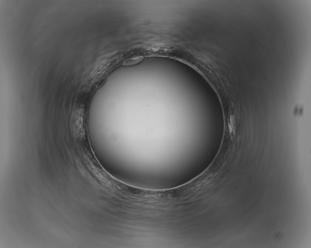 X0000113371396200909221212