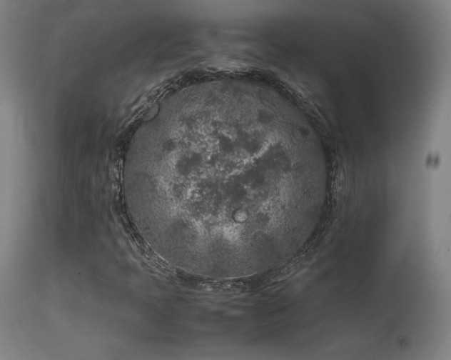 X0000113371397200909221212