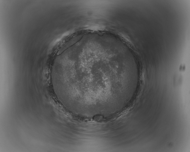 X0000113371398200909221212