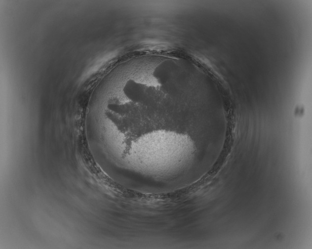 X0000113371399200909221212