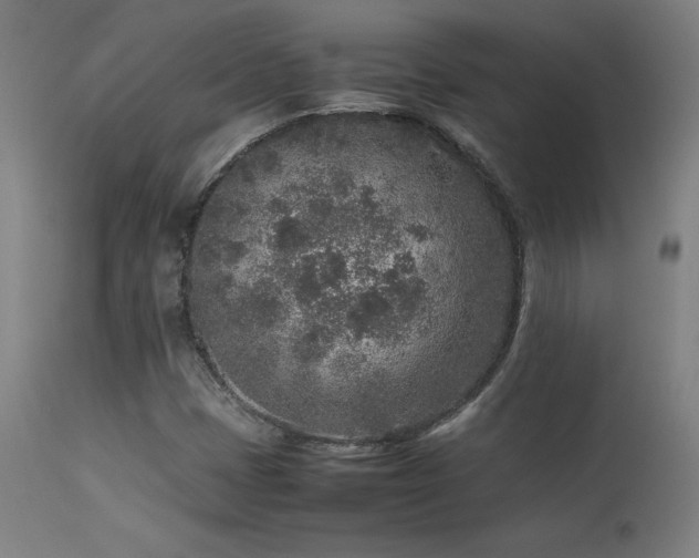 X0000113371401200909221212