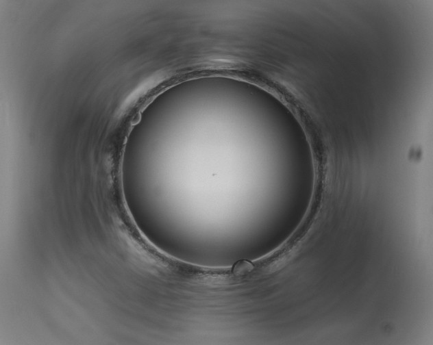 X0000113371402200909221212