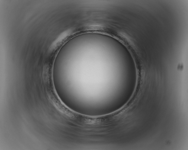 X0000113371403200909221212