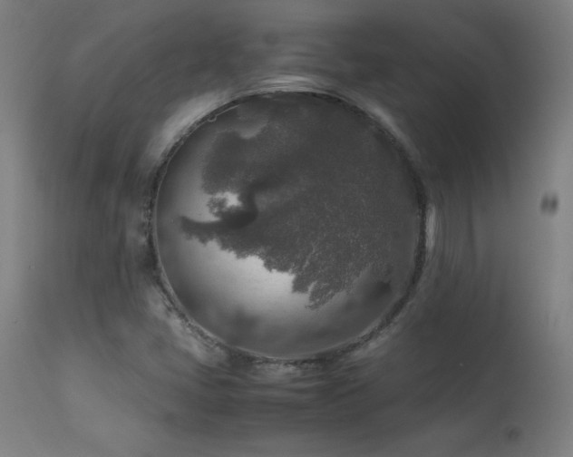 X0000113371405200909221212