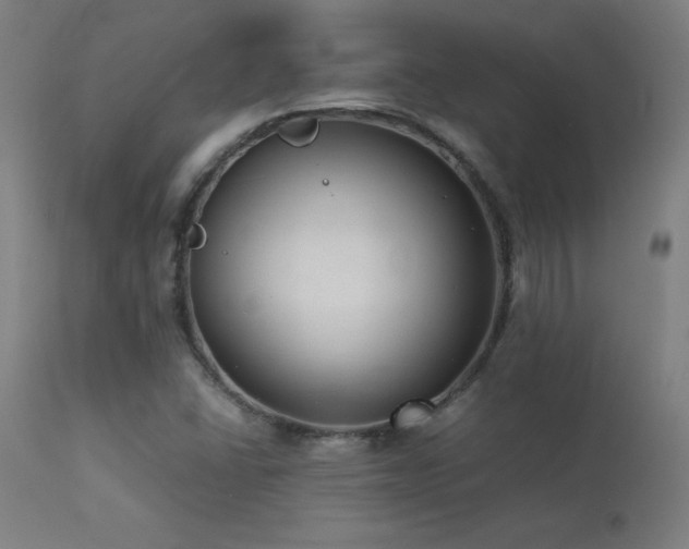 X0000113371406200909221212