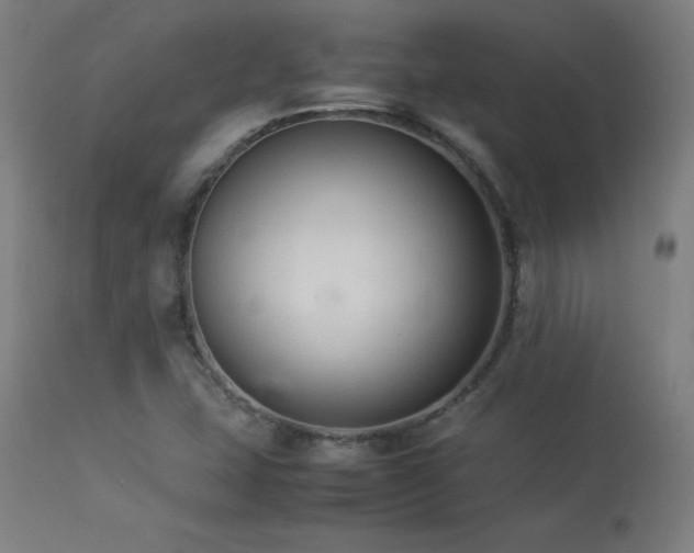 X0000113371407200909221212