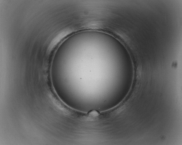 X0000113371410200909221212