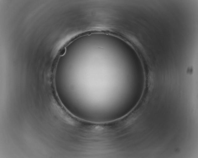 X0000113371412200909221212