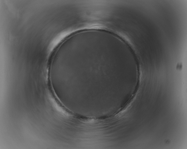 X0000113371414200909221212