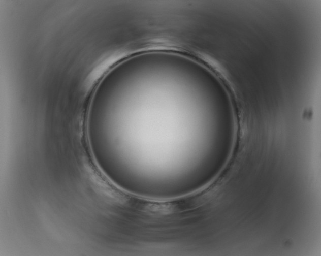 X0000113371415200909221212