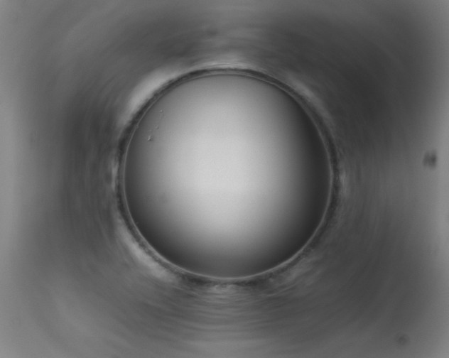 X0000113371416200909221212