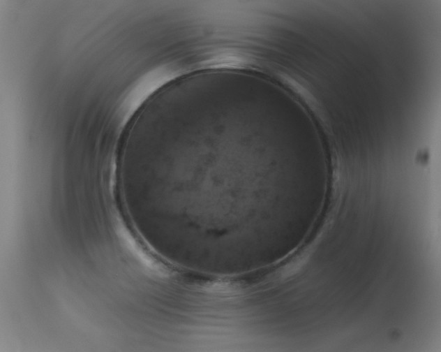 X0000113371418200909221212