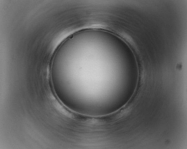 X0000113371420200909221212