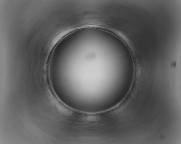 X0000113371423200909221212
