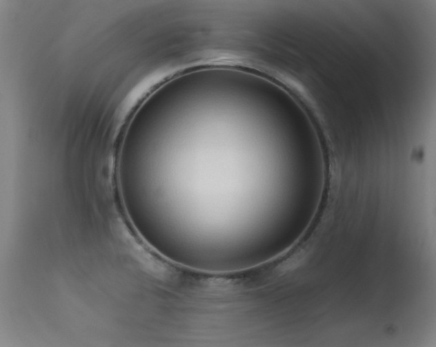 X0000113371424200909221212